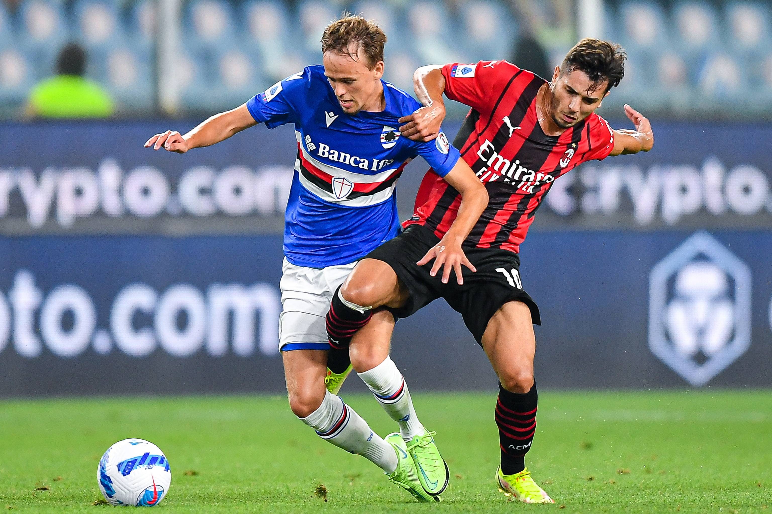 单球种的挥 单球种的挥